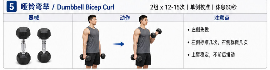 哑铃弯举 Dumbbell Bicep Curl 的器械、真人动作示意和动作注意点